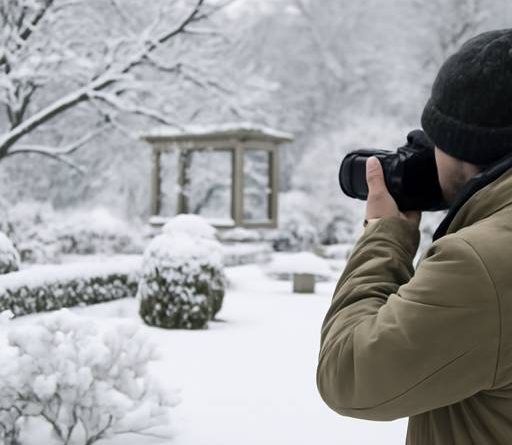 Discover the Magic: Why a Winter Garden Photographer Transforms Your Photos